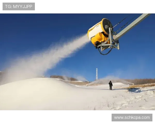 冬季奥运会造雪技术对生态环境影响